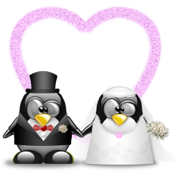 penguin pingouin pinguino 285